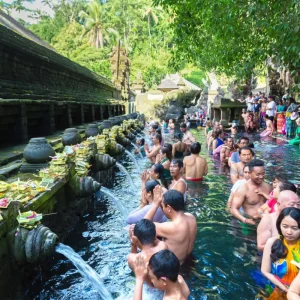 Report bad behaving Bali tourists